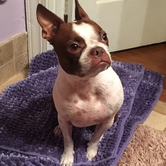 Meet your Posher, Seasun2375 - Picture 5 of 6